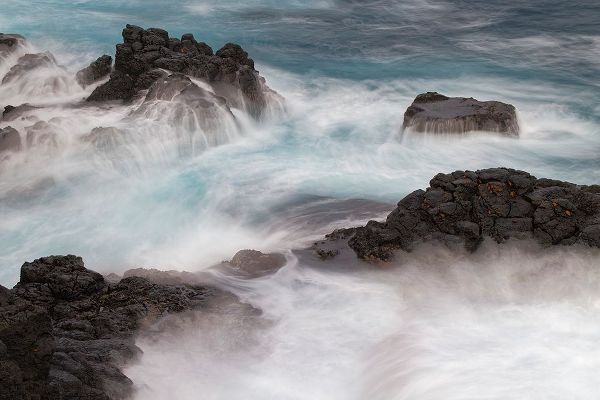 Jones, Adam 아티스트의 Waves crashing over lava rocks on shoreline of Espanola Island-Galapagos Islands-Ecuador작품입니다.